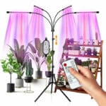 4 Heads Grow Lights for Indoor Plants with Stand